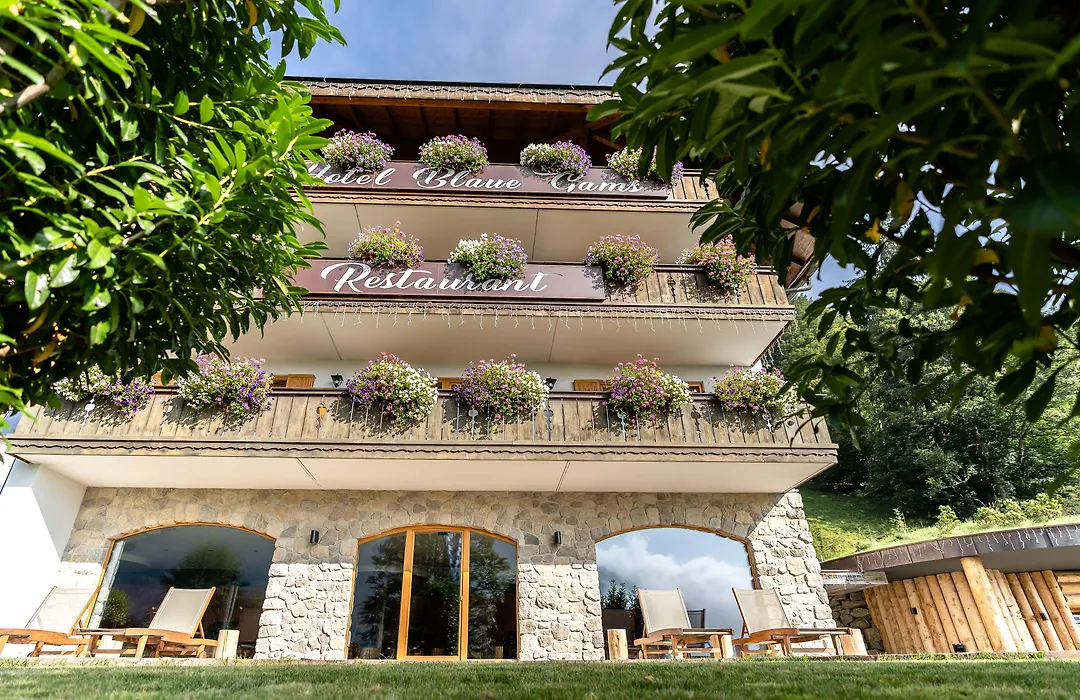 Hotel Blaue Gams ***S-1