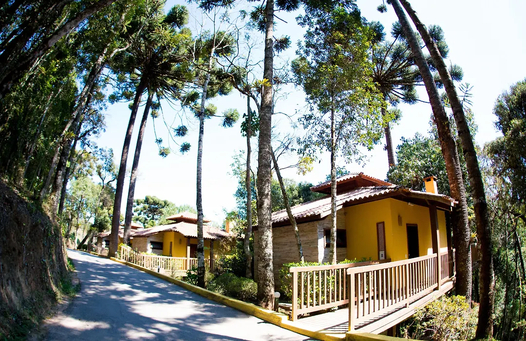 Surya-Pan Refugio Hotel - Super Pet Friendly-1