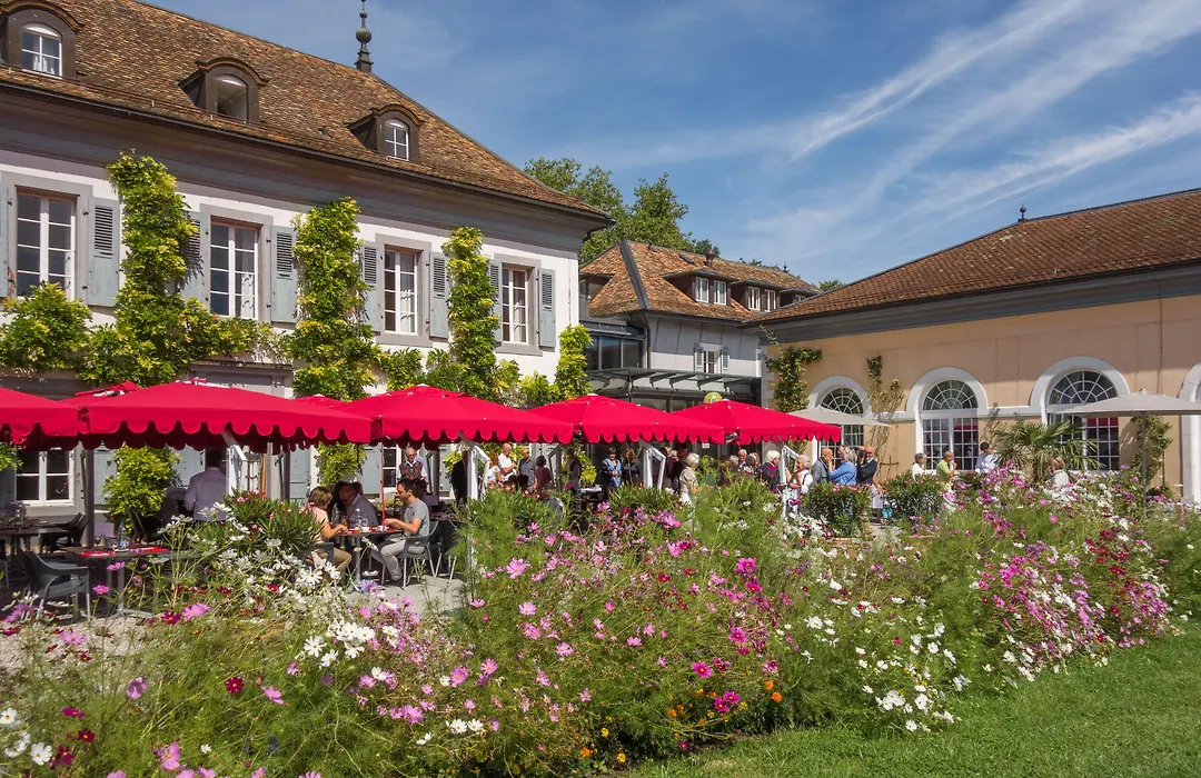 Chateau De Bossey-1