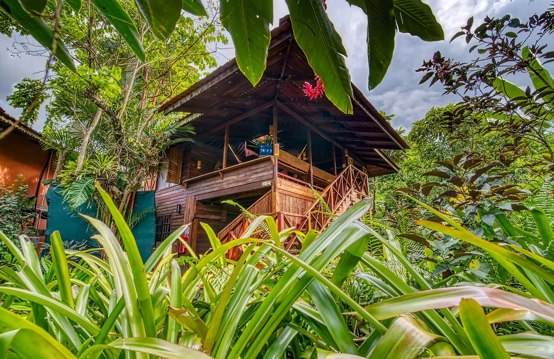 Hotel Banana Azul - Adults Only-1