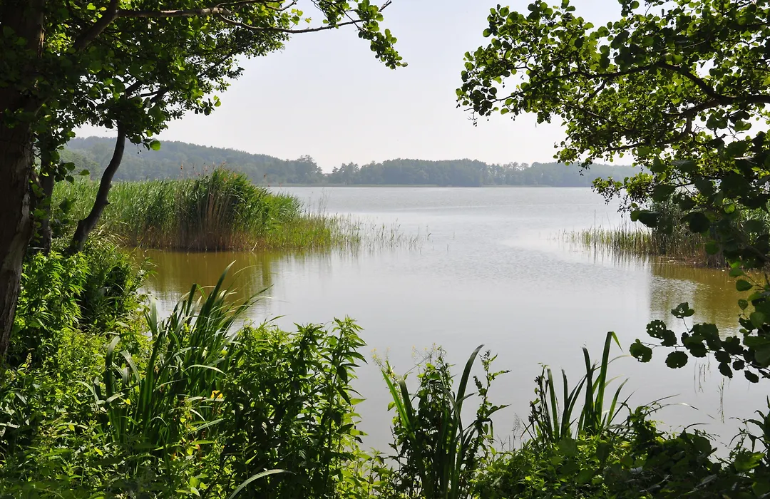 Hotel am Gothensee-1