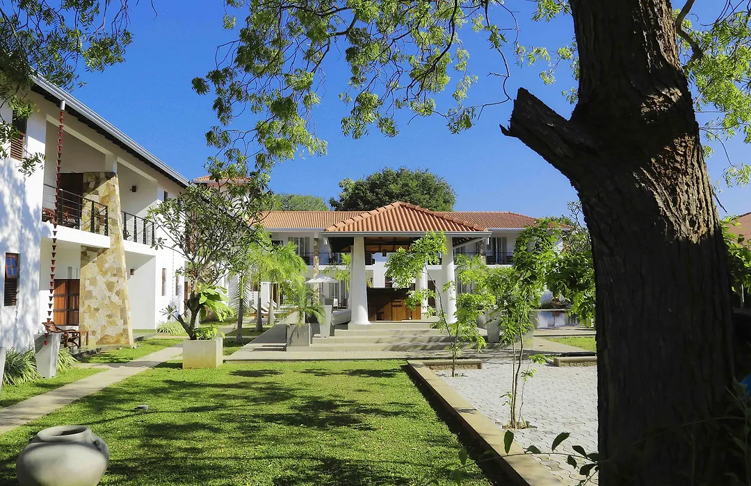 Hotel Tamarind Tree-1