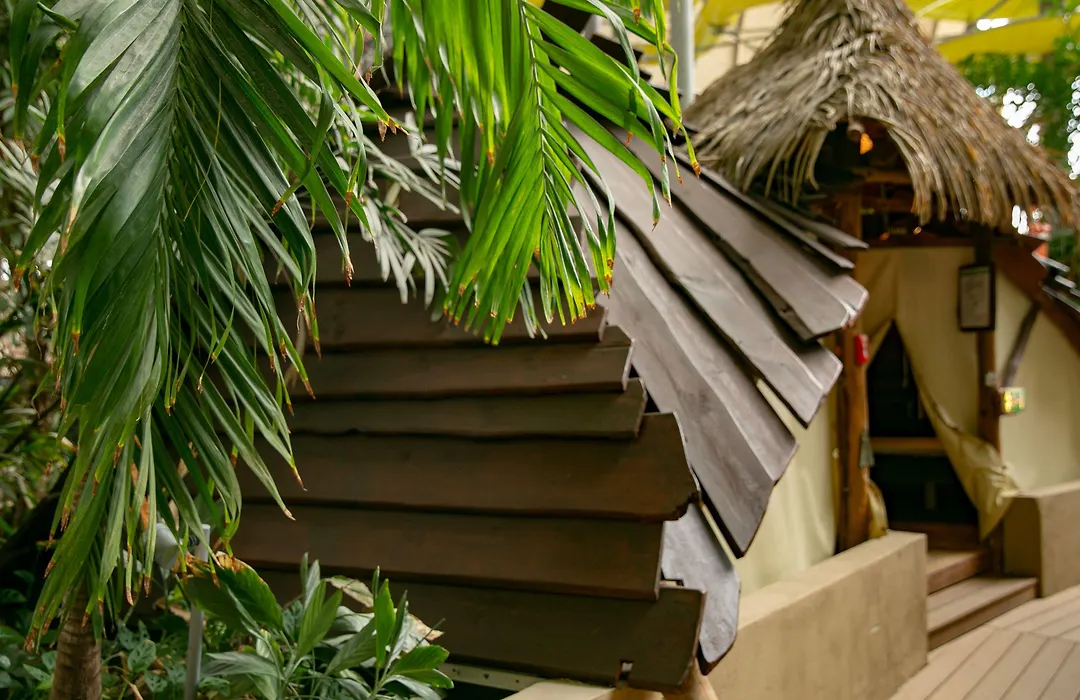 Tropical Islands-1