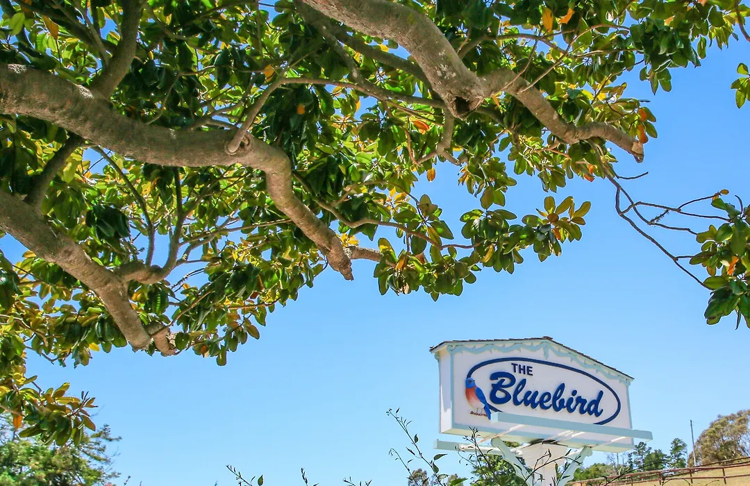 Bluebird Inn-1