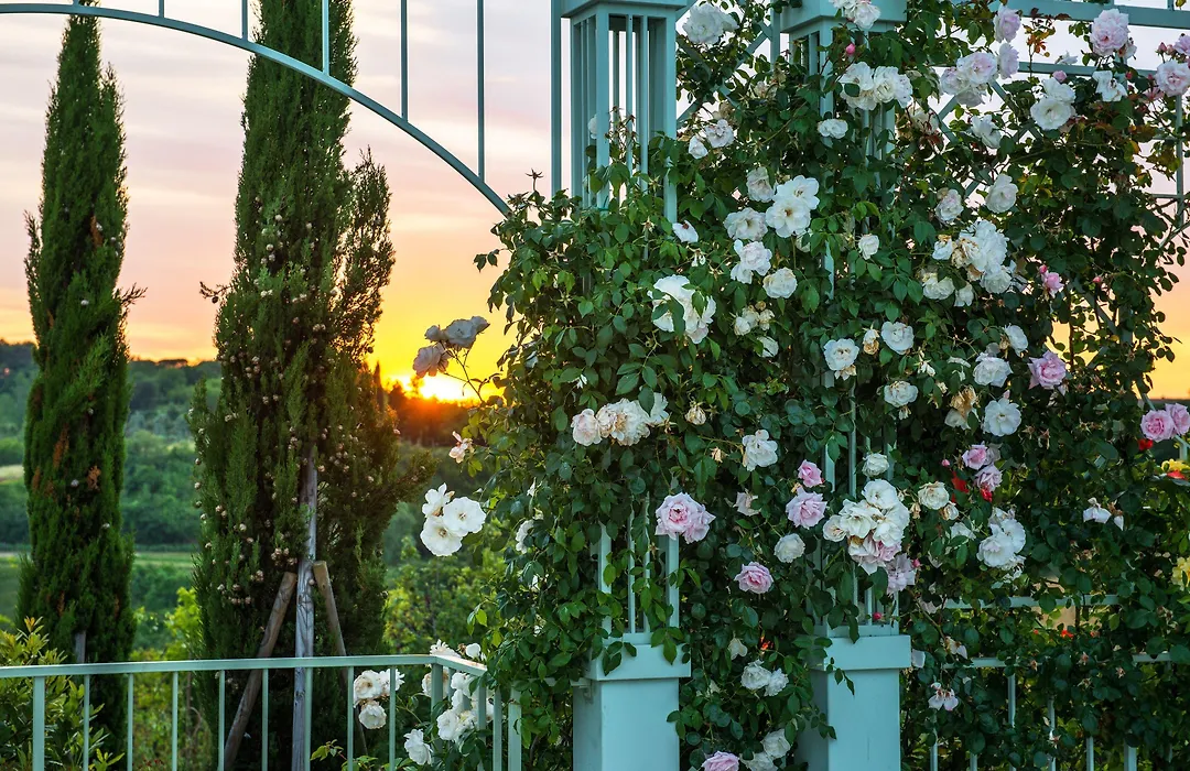 Relais Sassa Al Sole-1