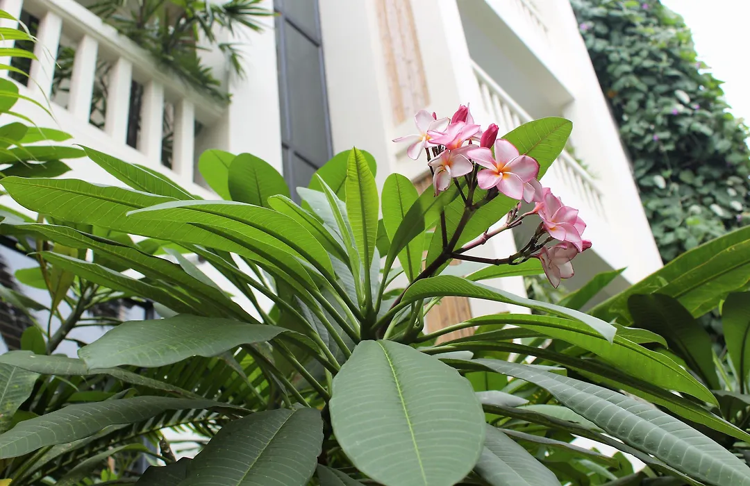 Palace Gate Hotel & Resort By Ehm-1