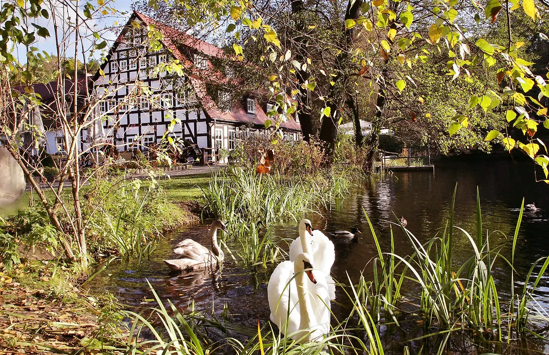 Springbach-Mühle Belzig-1