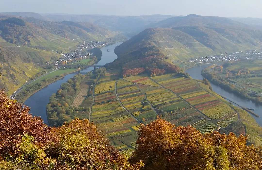 Weinhaus Berg-1