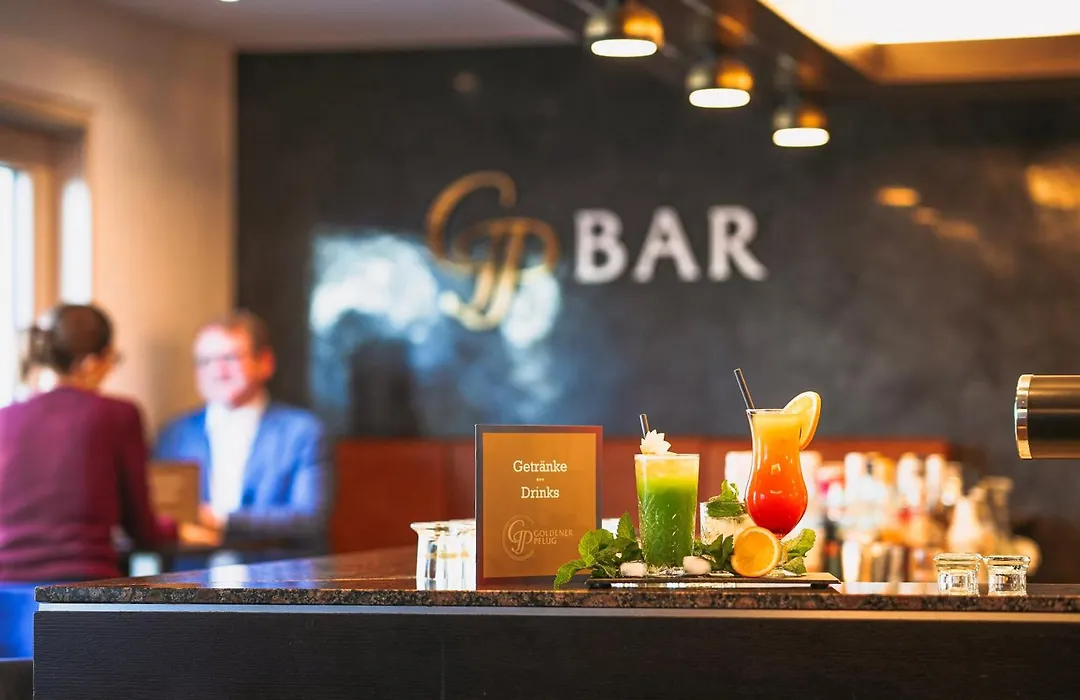 Hotel&Restaurant Goldener Pflug-1