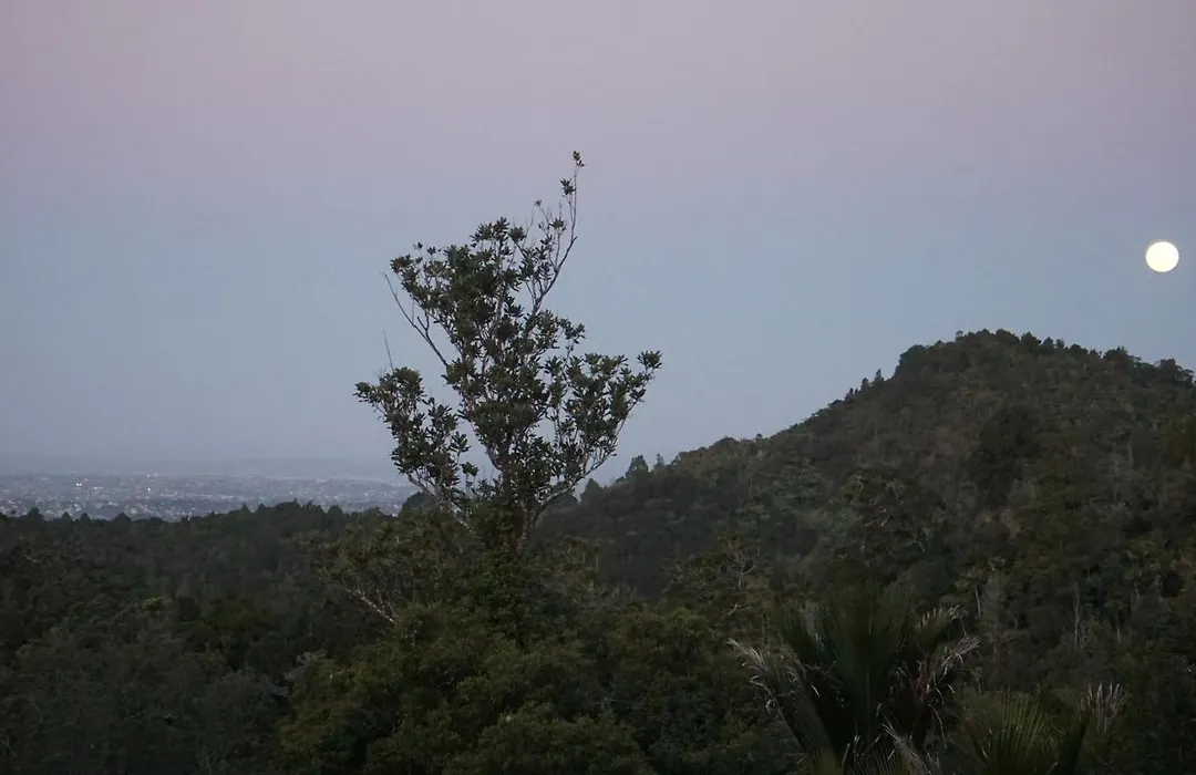 Waitakere Resort & Spa-1