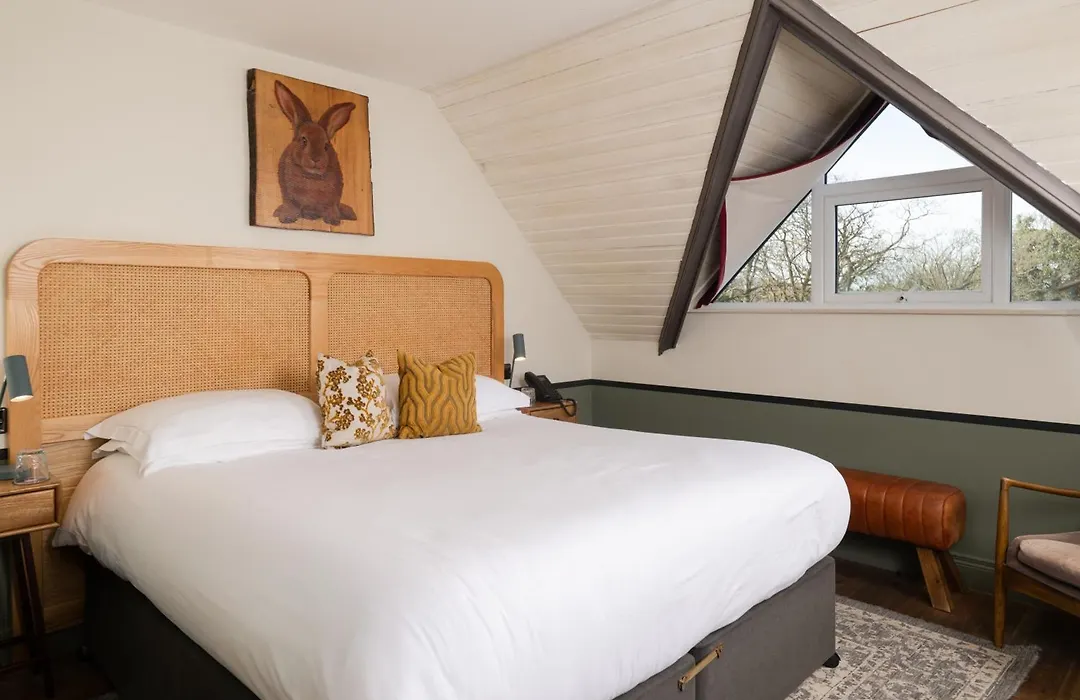 The Rabbit Hotel & Retreat-1