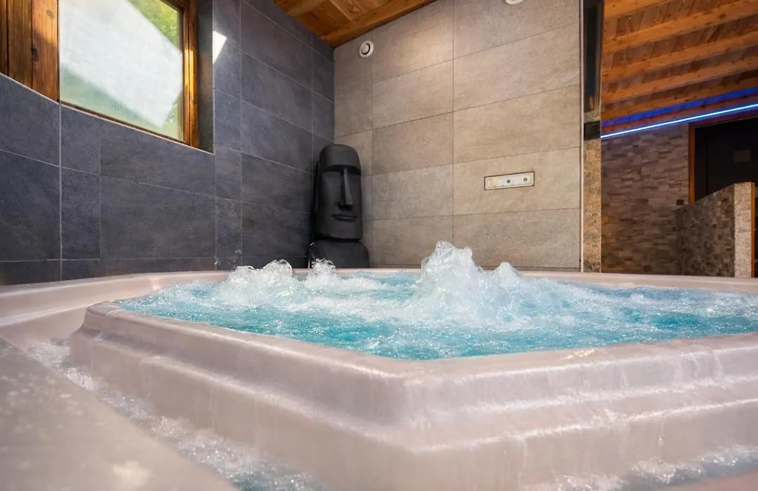 Logis Hotel-Restaurant Spa Le Lac-1