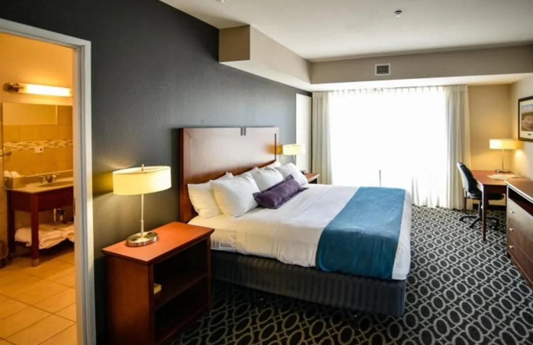 Bluemont Hotel-1