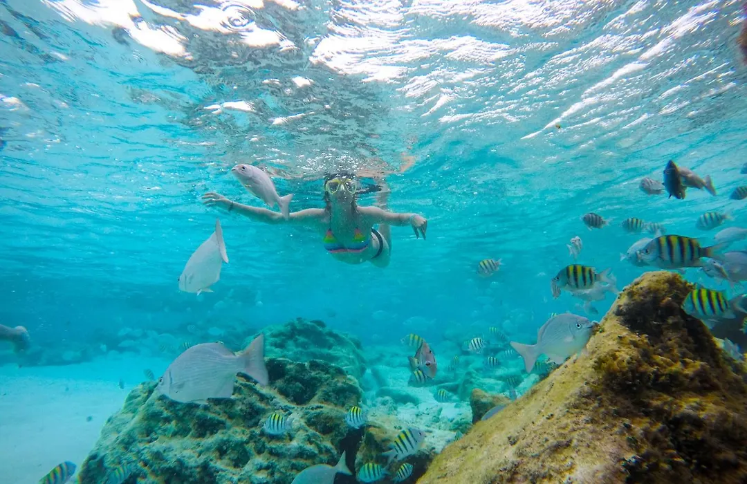 Mia Reef Isla Mujeres-1