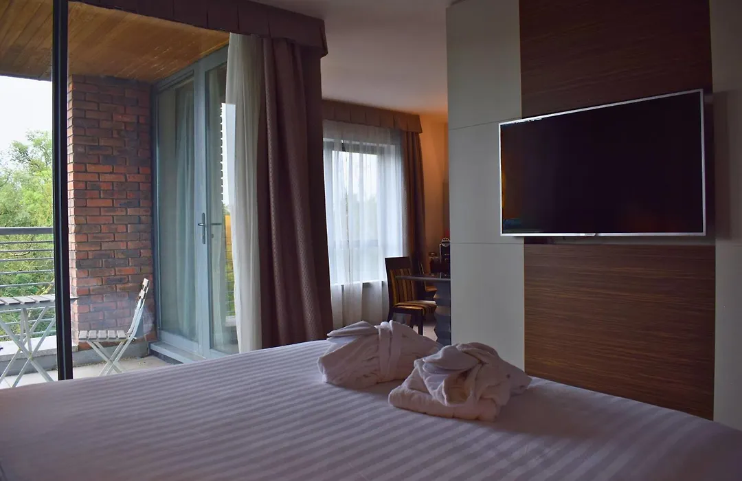 Absolute Hotel Limerick-1