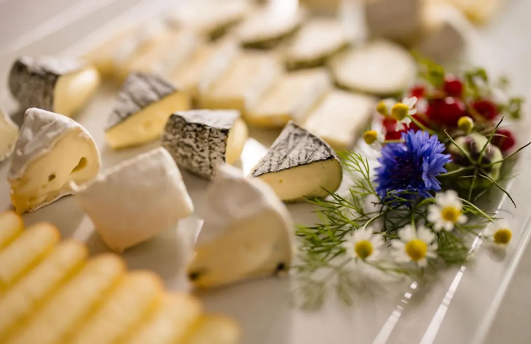 Hotel Garni Toscanina - Adults Only-1