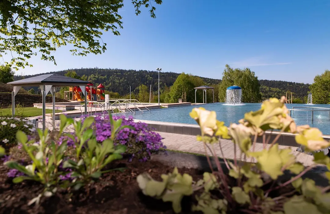 Michel Hotel Waldkirchen am Badepark-1