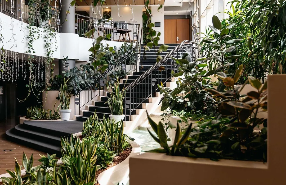 Mercure Sydney Parramatta-1