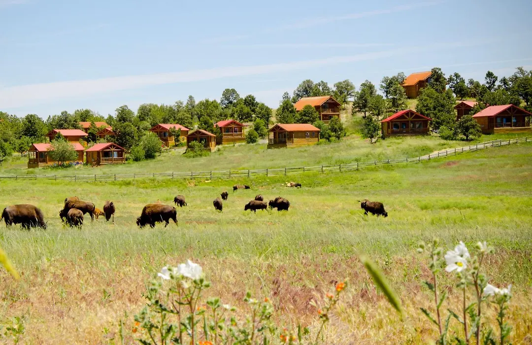 Zion Mountain Ranch-1