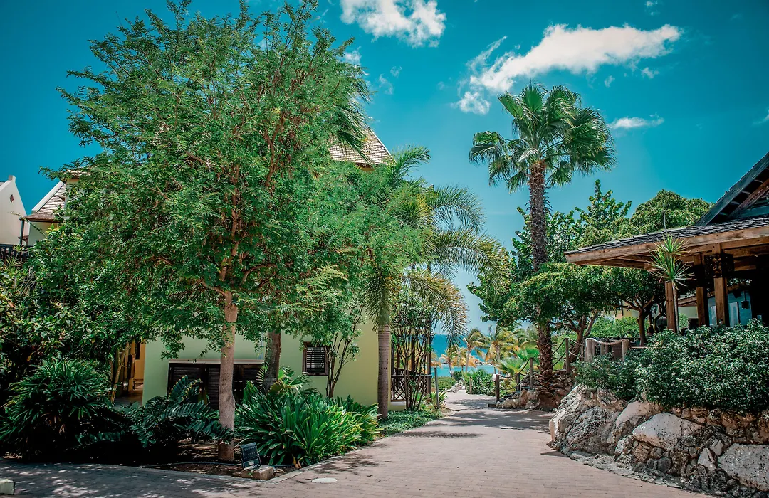 Lionsdive Beach Resort-1
