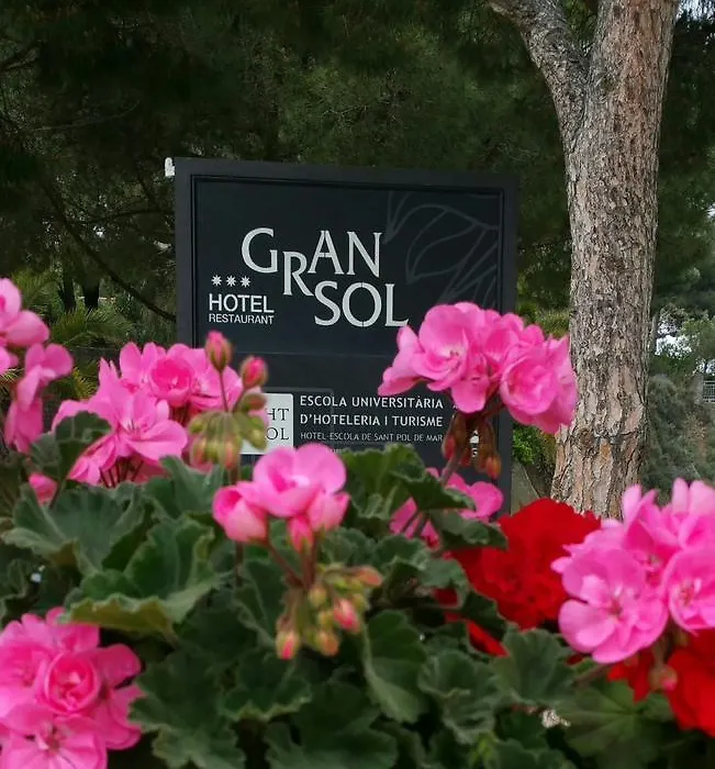 Gran Sol Hotel-1