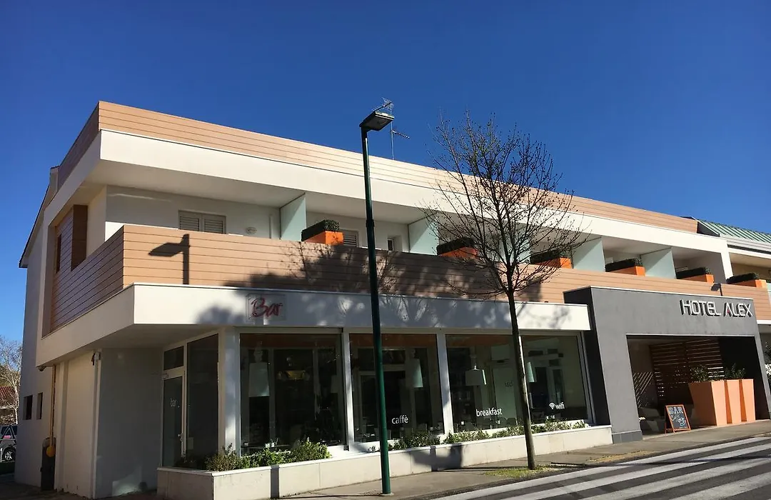 Hotel Alex-1