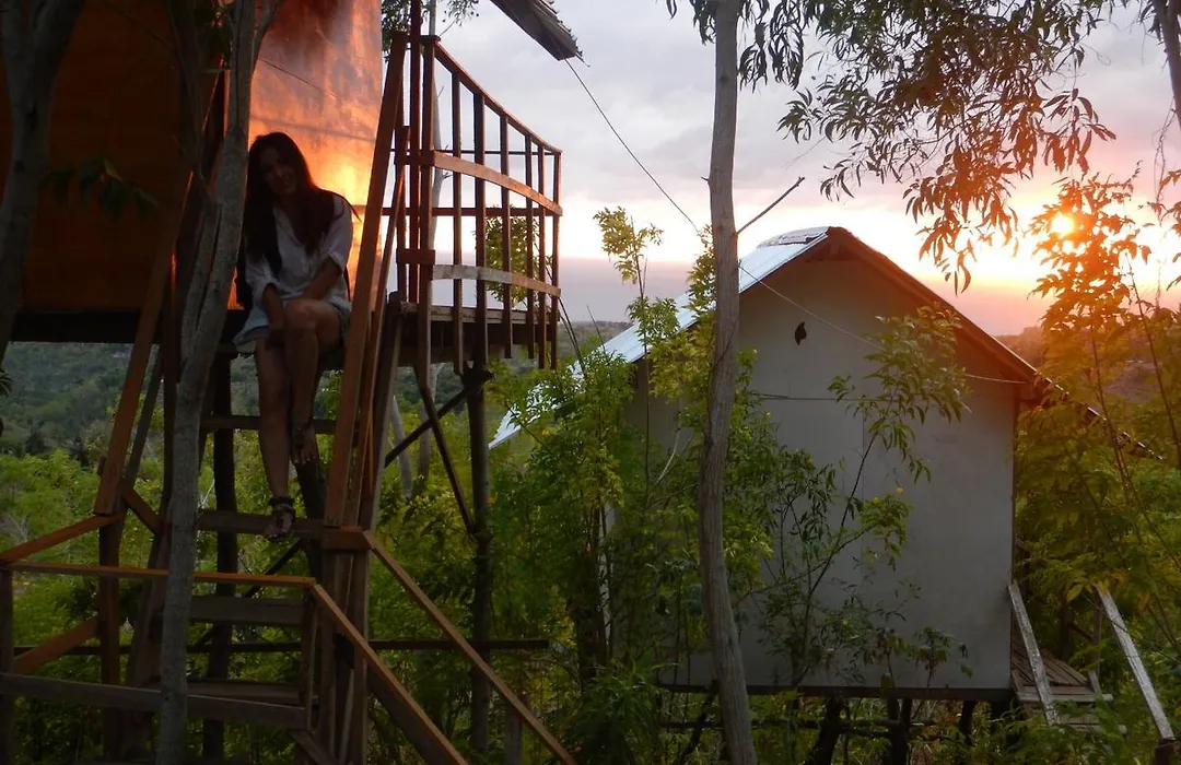 Rumah Pohon-1