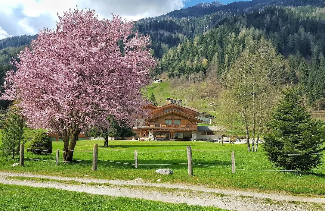 Hotel Maso del Brenta-1