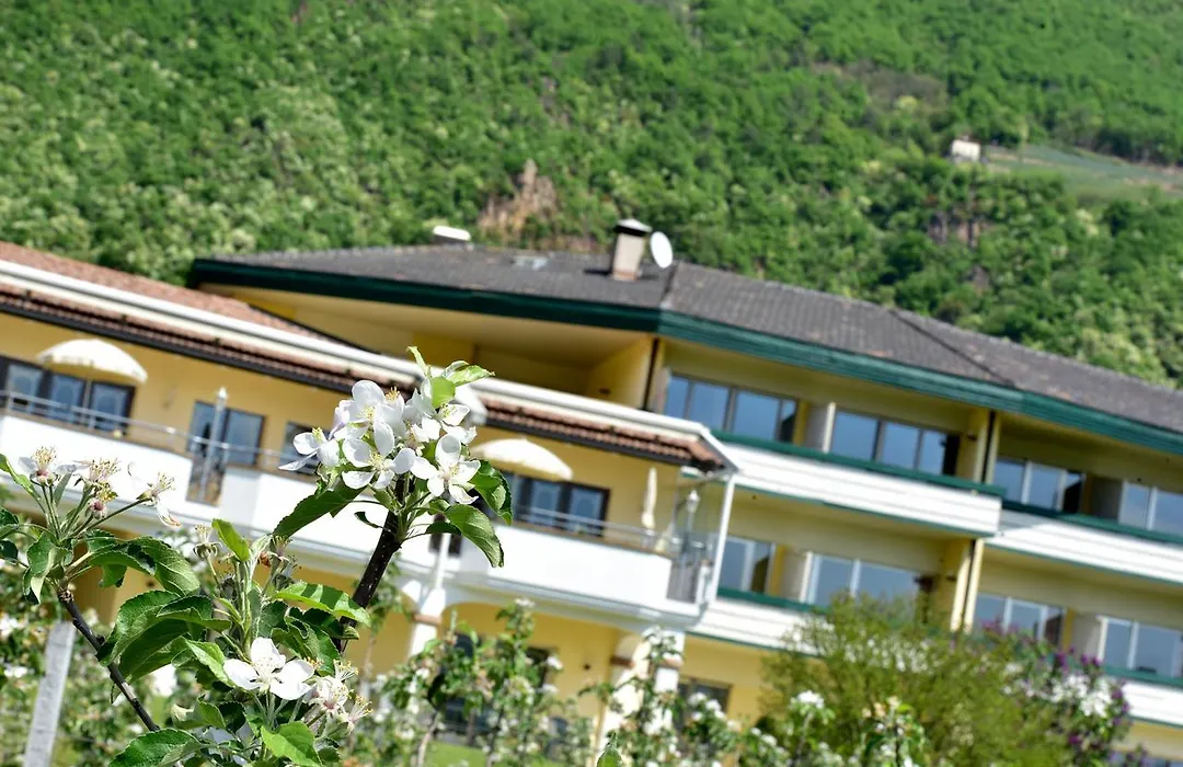 Hotel Greifenstein-1