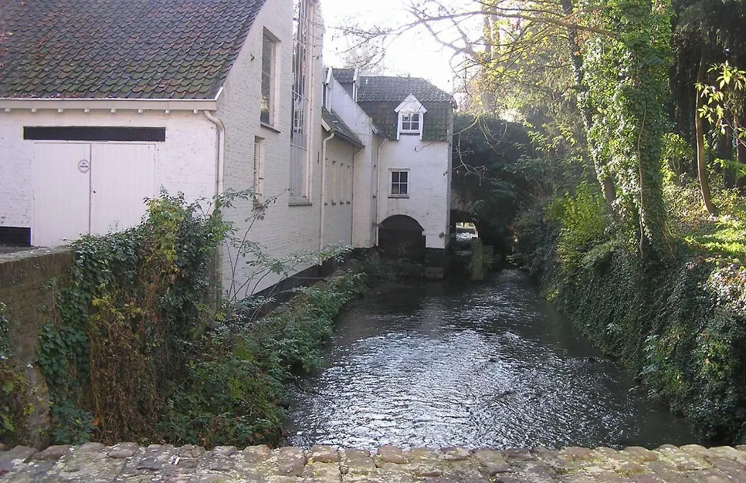 Logis Pastis-1