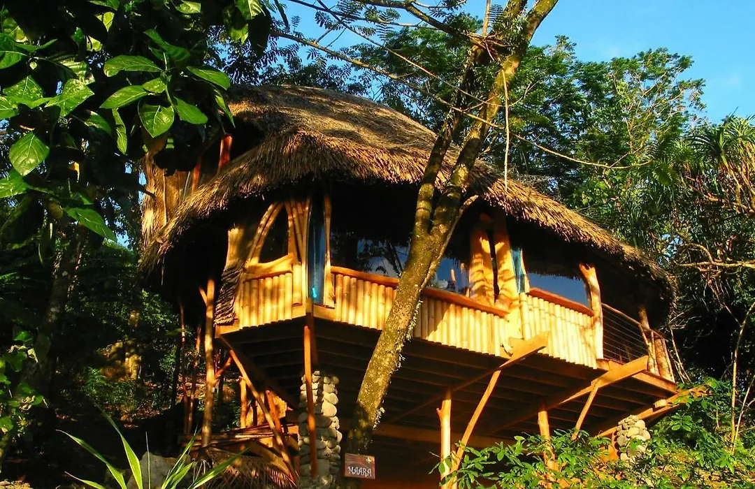 Vanira Lodge-1