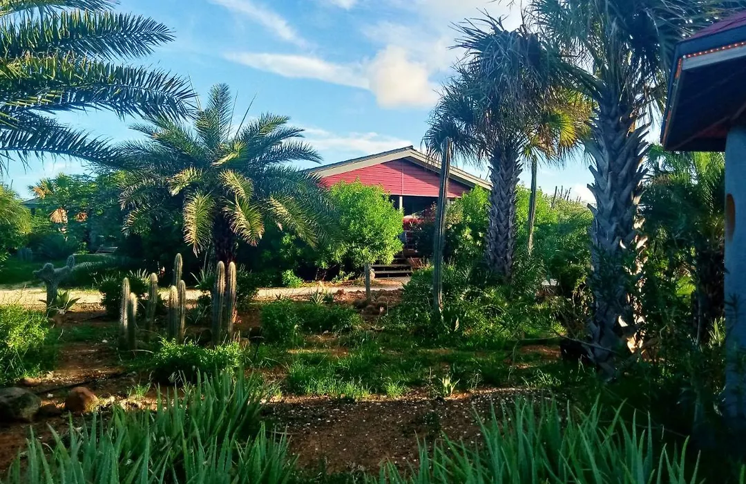 Red Palm Village-1