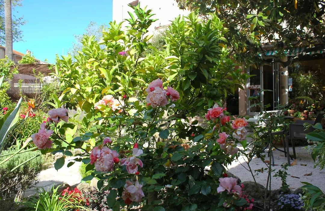 Hotel Les Palmiers-1