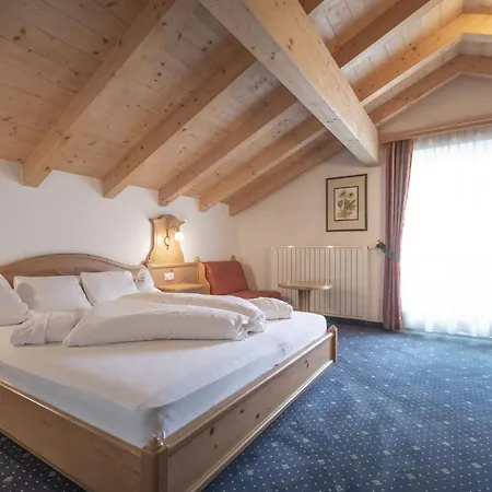 Hotel Garni Schneider-2