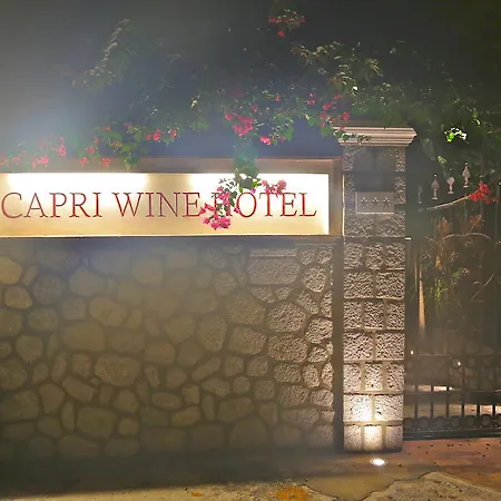 Capri Wine Hotel-3