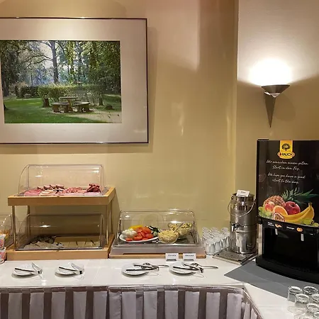 Hotel Luther Birke Wittenberg-2