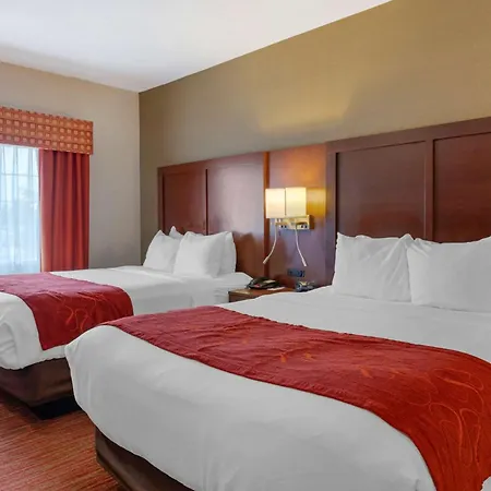 Comfort Suites Columbus Expo Center-3