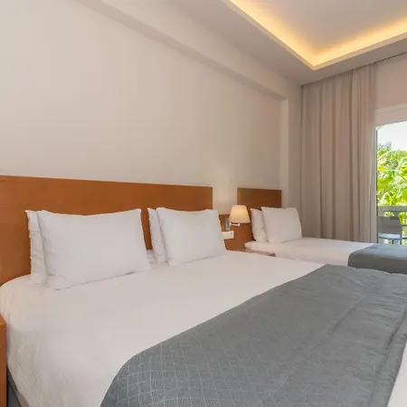 Hotel Palmyra-3