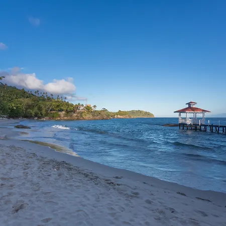 Bahia Principe Escape Samana - Hyatt Inclusive Collection - Adults Only-2