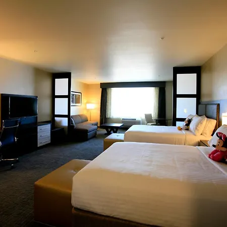 Holiday Inn Express & Suites Anaheim Resort Area By Ihg-2