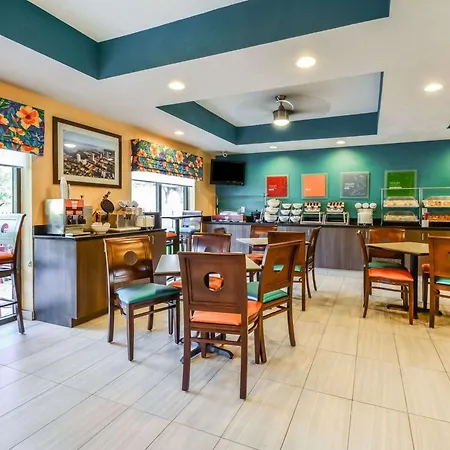 Comfort Suites Tampa - Brandon-3