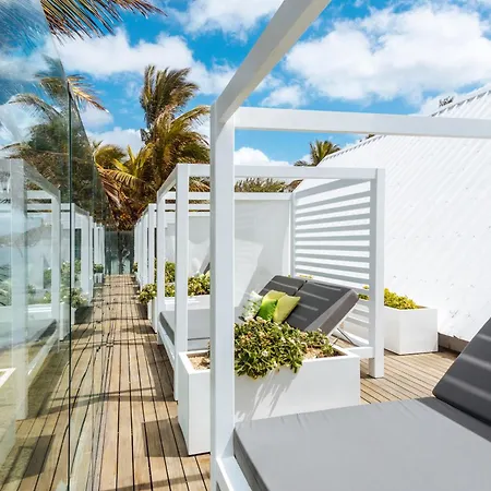 Tropical Attitude (Adults Only)-2