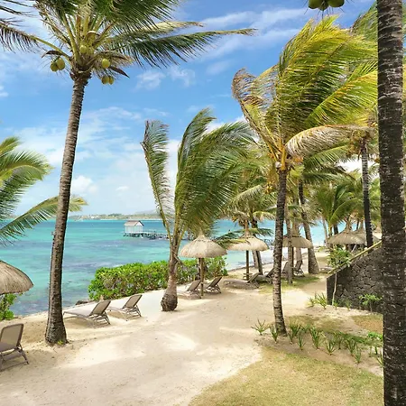 Tropical Attitude (Adults Only)-2