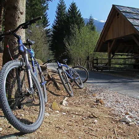Bohinj Eco Hotel-2