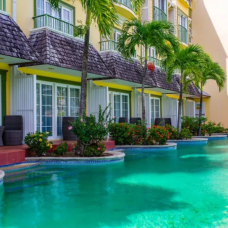 Coco Palm-3
