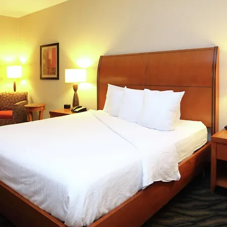 Hilton Garden Inn Chesapeake/Suffolk-3