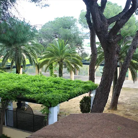 Hotel Oromana-3