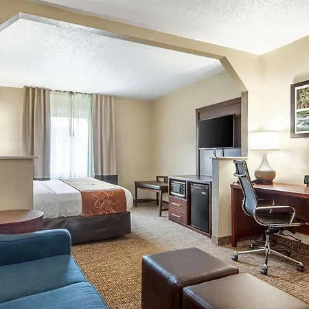 Comfort Suites Knoxville Airport-2