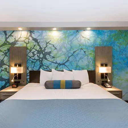 Wingate By Wyndham Goodlettsville-2