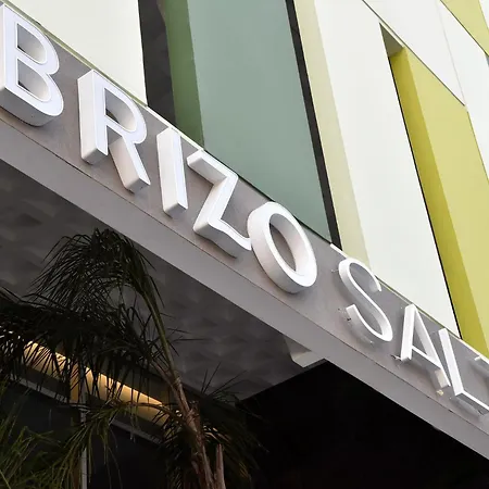 Brizo Salta-2
